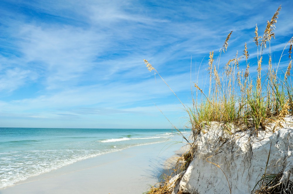 フロリダ西海岸があなたの行き先になるべき5つの理由 